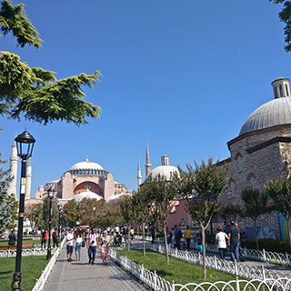 Pavo Azul Hermosa Estambul 